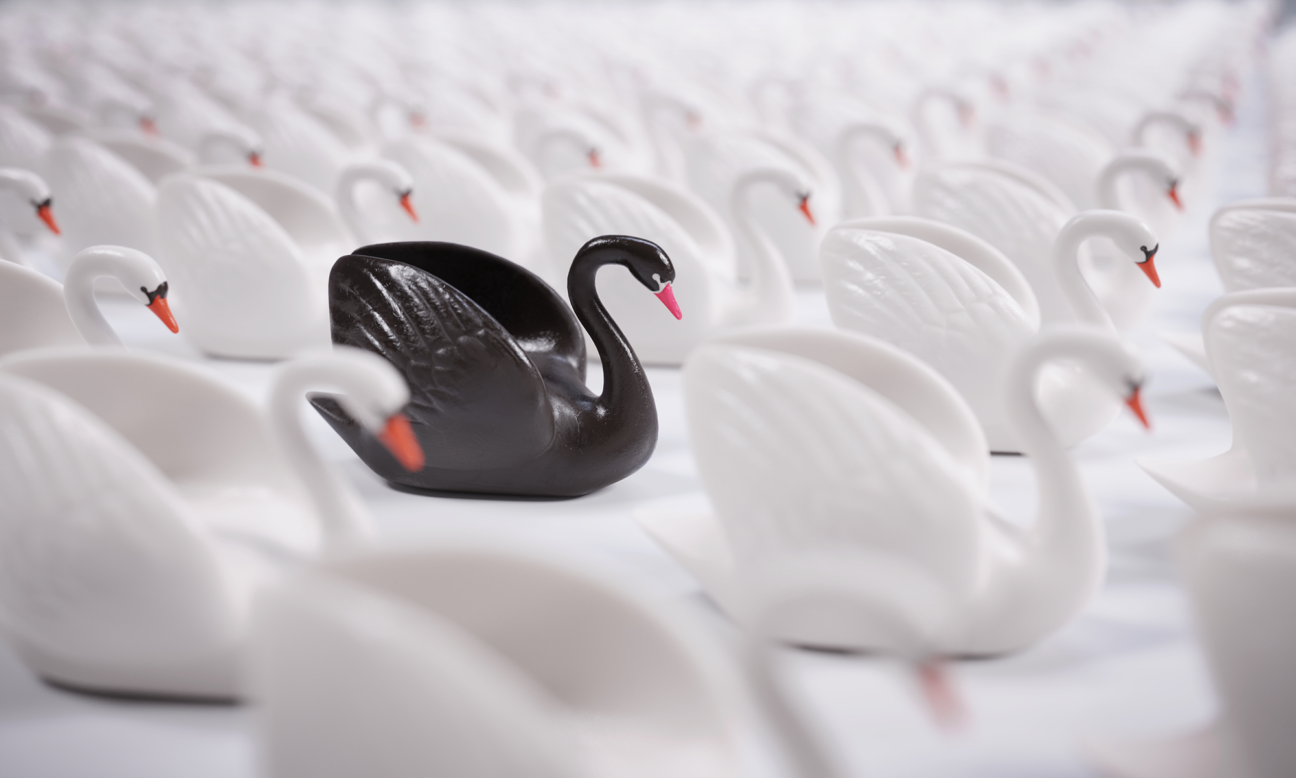 sæt ind Pengeudlån faktum The Black Swan Theory and why Agile principles fit better | Blog Devoteam